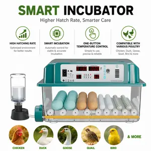 Upgraded 64 Egg Smart Incubator 2026 New Version - Fully Auto Turning & External Water Top-Up, High Hatch Rate Digital Hatcher for All Poultry