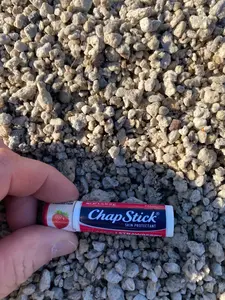 Volcanic Pumice - 1 cu ft