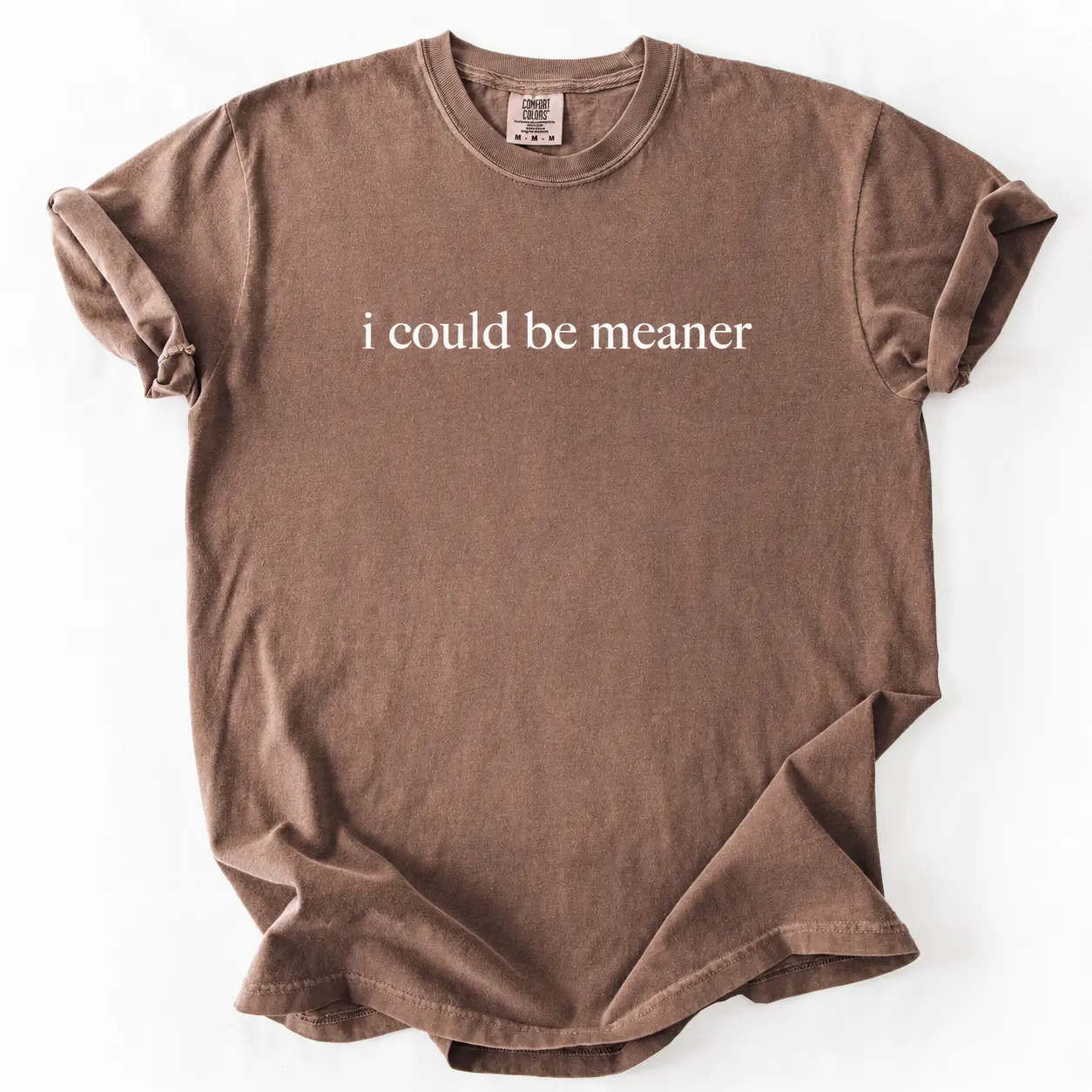 Comfort Colors I Could Be Meaner T-Shirt Funny Humor Shirt Sarcastic Shirt Funny Quote Shirt Sarcasm Shirt Trendy Shirt for Women