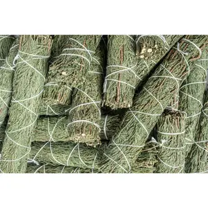 NessaStores Cedar Smudge Stick Incense 9" Bundle (36 pcs) #JC-163
