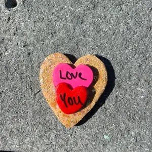 Valentines Day Cookie Magnet