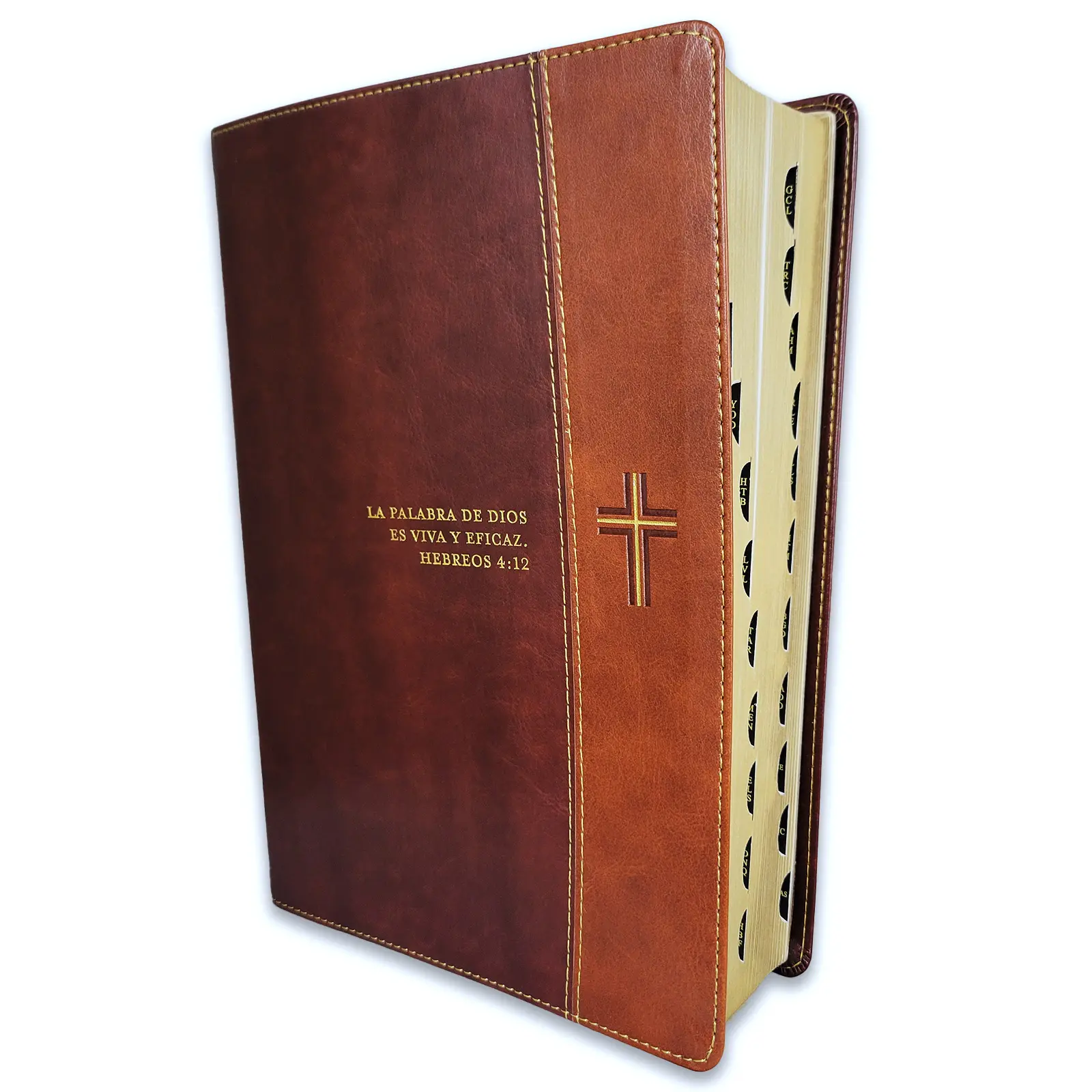 Biblia de Estudio del Diario Vivir Letra Grande RV1960 imit piel dos tonos cafe con indice