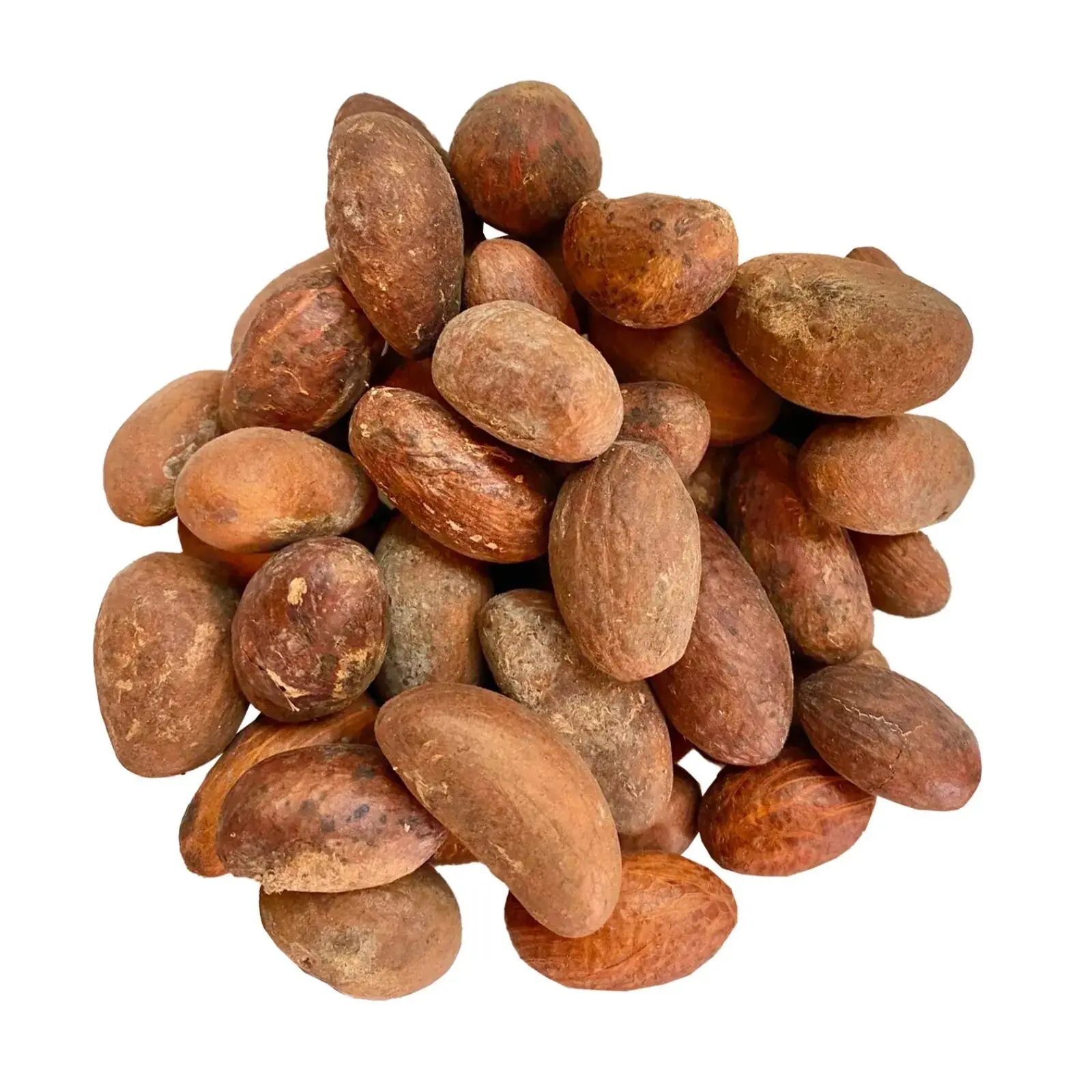 Premium Bitter Kola Nut from West & Central Africa Hand-Picked for Quality & Authenticity Natural Wellness Boost