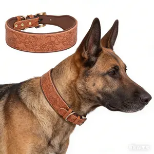 Medium Large Dog Embossed Pattern Collar Premium PU Leather Thick Foam Cushioned Comfortable Adjustable Pet Neckband for All Seasons