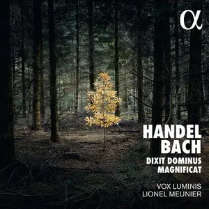 Handel / Vox Luminis / Meunier - Dixit Dominus Magnificat  [COMPACT DISC - CD]