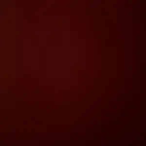 Women Sauna Shaper Vest Sweat Shapewear Tank Top Waist Trainer Corset Gym Sports Workout Zipper Shirt