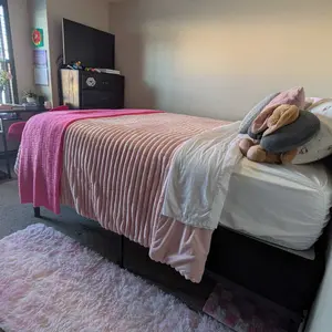 BEDELITE Flannel Comforter Set Super Soft & Warm Fluffy Pink Valentine's Day gift - Elegant Striped Design for Winter - Twin/Queen/King Sizes Machine Washable