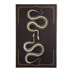 'Ouroboros' Mini Snake Skeleton Set