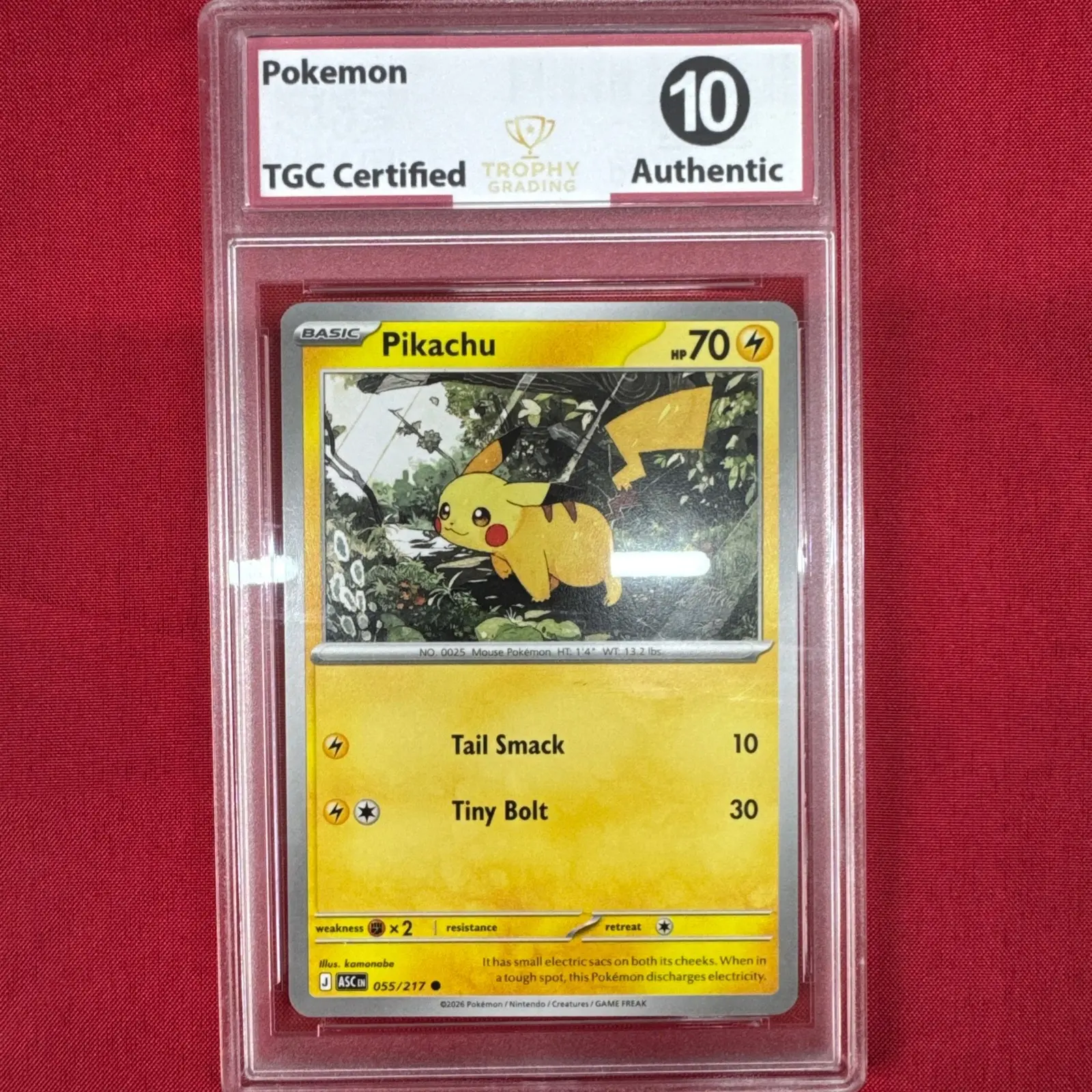 Pokemon - Pikachu 055/217 English Pokemon TCG Mega Evolution Heroes - TCG Gem Mint 10 - Pokemon Slab