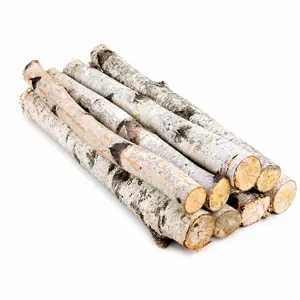 Natural 2 Foot Birch Logs (1-3" DIA)