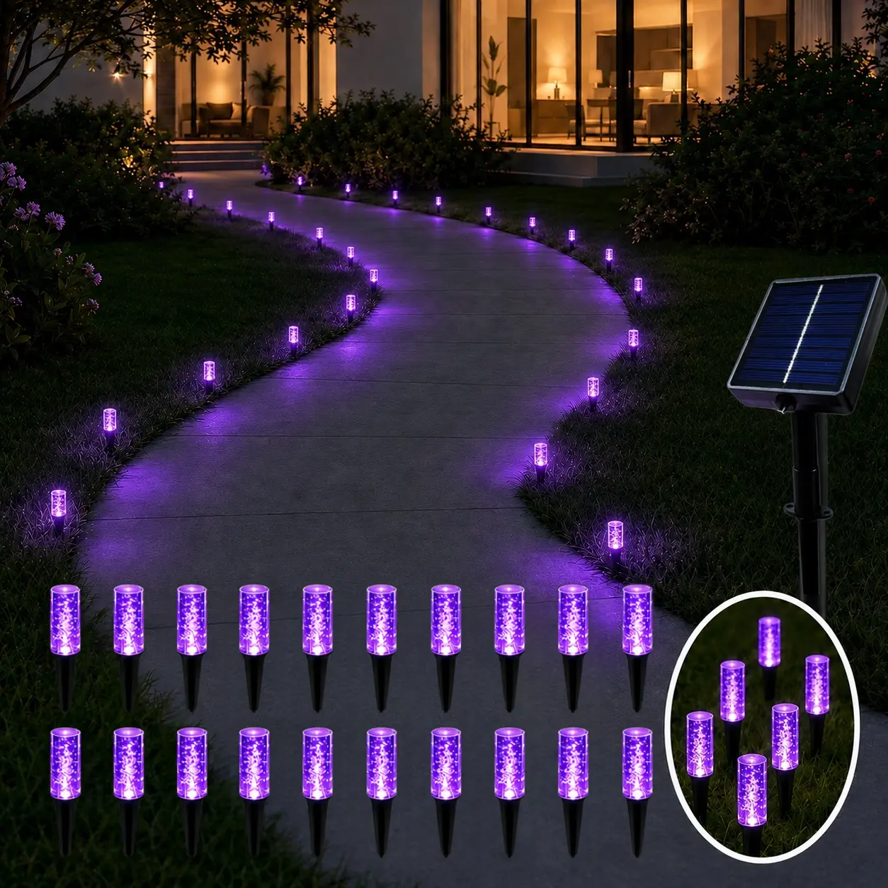 Purple Light