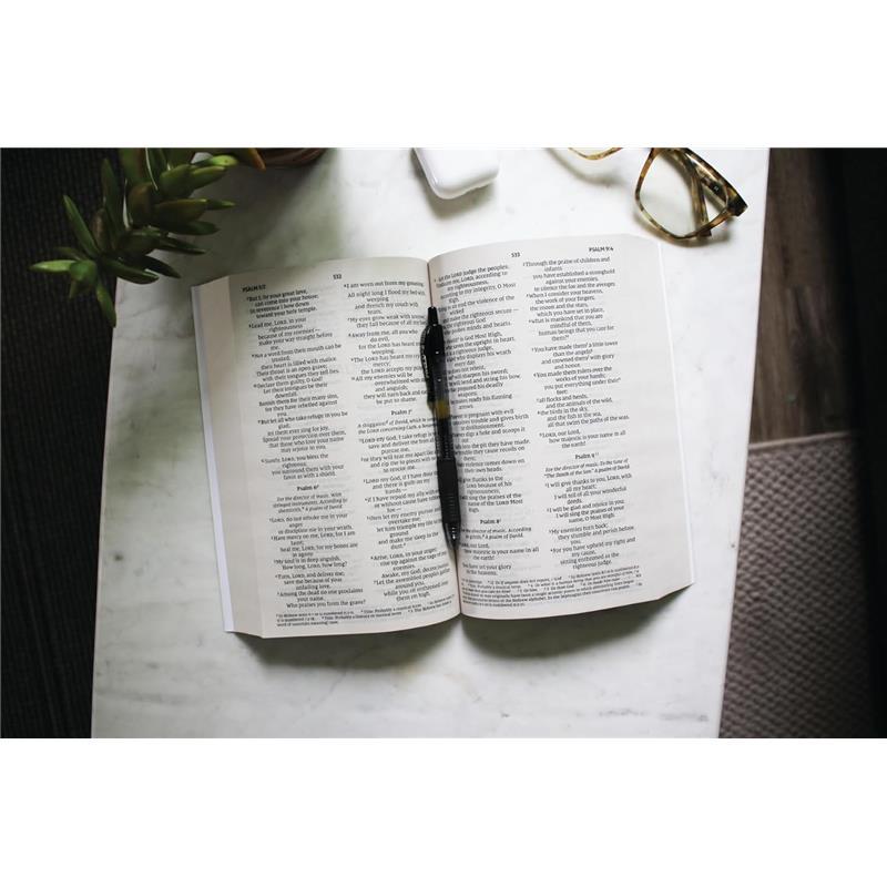 NIV, Holy Bible, Larger Print, Economy Edition, Paperback, Teal/Tan, Comfort Print