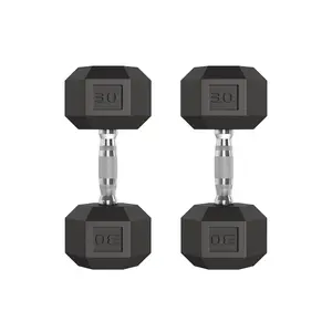 30 LB Hex Dumbbell Set of 2, Hand Weights Dumbbells Pair with Cast Iron Core, Rubber Encased Coating and Textured Carbon Steel Handle for Home Gym Strength Training