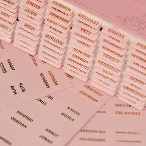 UPAFEXXI-Leather Bible Tabs, Bible Tabs for Women and Men(Gold Foil Lettering) Large Print Stickers, Easy to Read and Apply, 80 Chapters Labels for Easy Navigation (Pink)