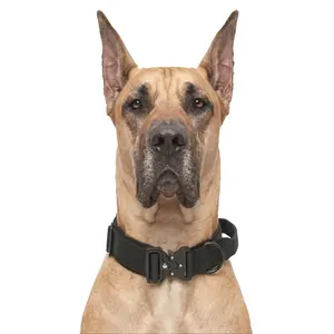 Black Heavy Duty Dog Collar for Great Dane, Escape Proof Pet Gear with Metal Buckle, Strong Control Handle Comfort Collar for Giant Breeds, No-Pull Premium Gear for Heavy Pullers