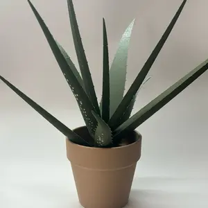 3D Aloe Vera Pen Plant with 10 Pens,12 inch Creative Artificial Plants Indoor, 3D Printed Potted Plant,Fake Succulents Green Leaf Pens,for Office Home Decor