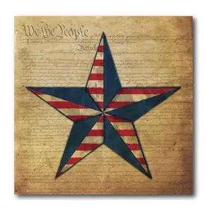 Courtside Market Flag Star I 16" x 16" Canvas Courtside Market Flag Star I 16" x 16" Canvas