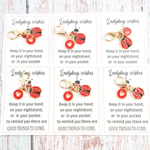 Inspirational Bug Greeting Cards Set, Positive Message, Cute Keychain & Heart Pendant Accessories, Miraculous Ladybug Charm Keychain, Perfect Gift for Teachers Friends Graduation Birthdays