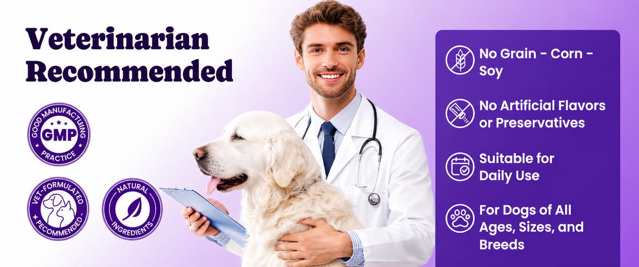180ct Probiotics for Dogs – Probiotic and Prebiotic Soft Chews for Digestion, Gut Balance, Stool Quality & Immune Support, 4-Strain Blend with FOS, GOS & Organic Inulin, Chicken Flavor