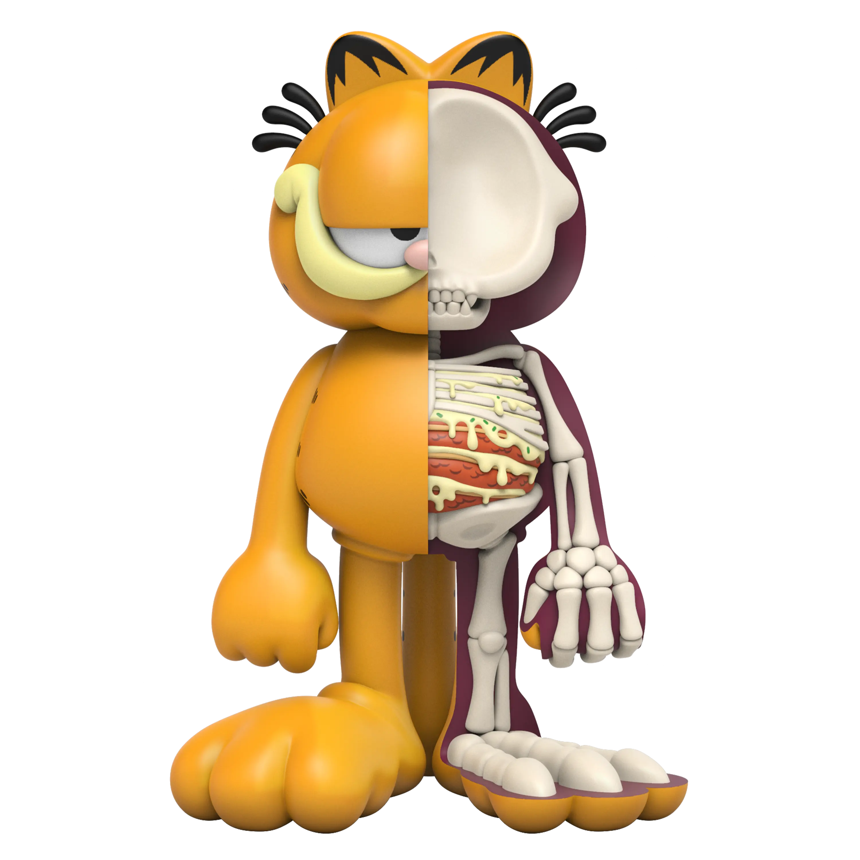 XXRAY Plus Garfield