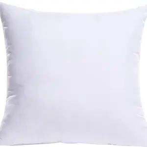 Our favorite Pillow Inserts!