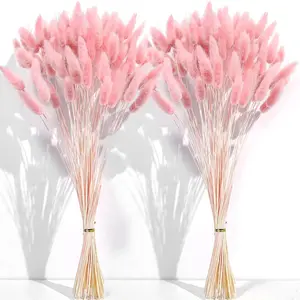 120 count  Dried Pampas Grass Decor, 17-inch Pompas Floral, Dry  for Decoration, Pampas Grass in Bulk Tall,  Bunny Tails Dried  for Boho Wedding Decor