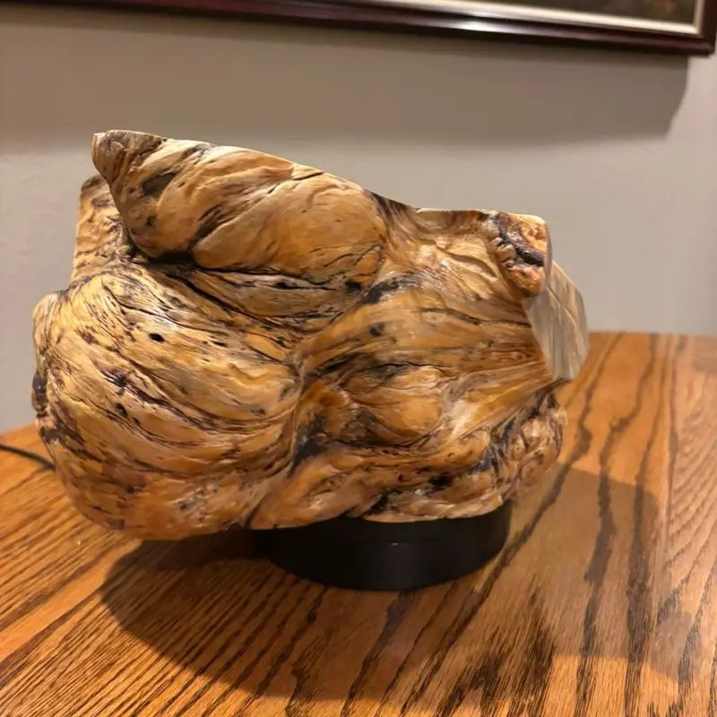 Pine Burl Bowl High End Statement Piece Natural Wood Texture Unique Design for Home Decor