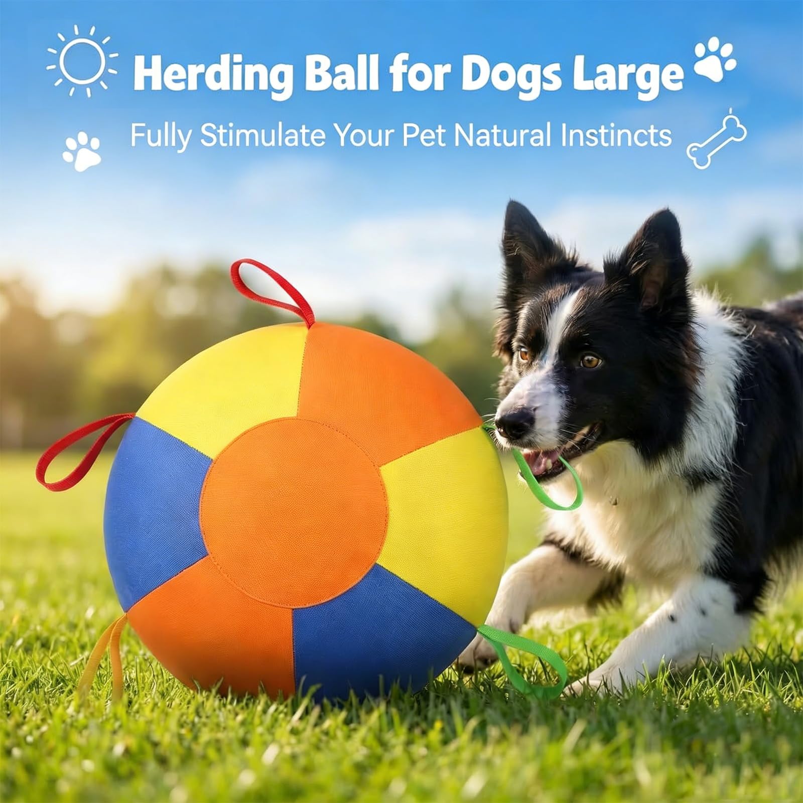 Jumbo Dog Herding Ball, Giant Inflatable Play Ball with Handle Cover & Pump for Outdoor Chase & Exercise(NOT for Aggressive Chewing)
