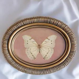 Vintage White Butterfly Wall Art, Neutral Moody Insect Wall Art, Farmhouse Pink Decor, Aesthetic Pink Art, Antique Moth Painting, Cottagecore Wall Art, Home Decor