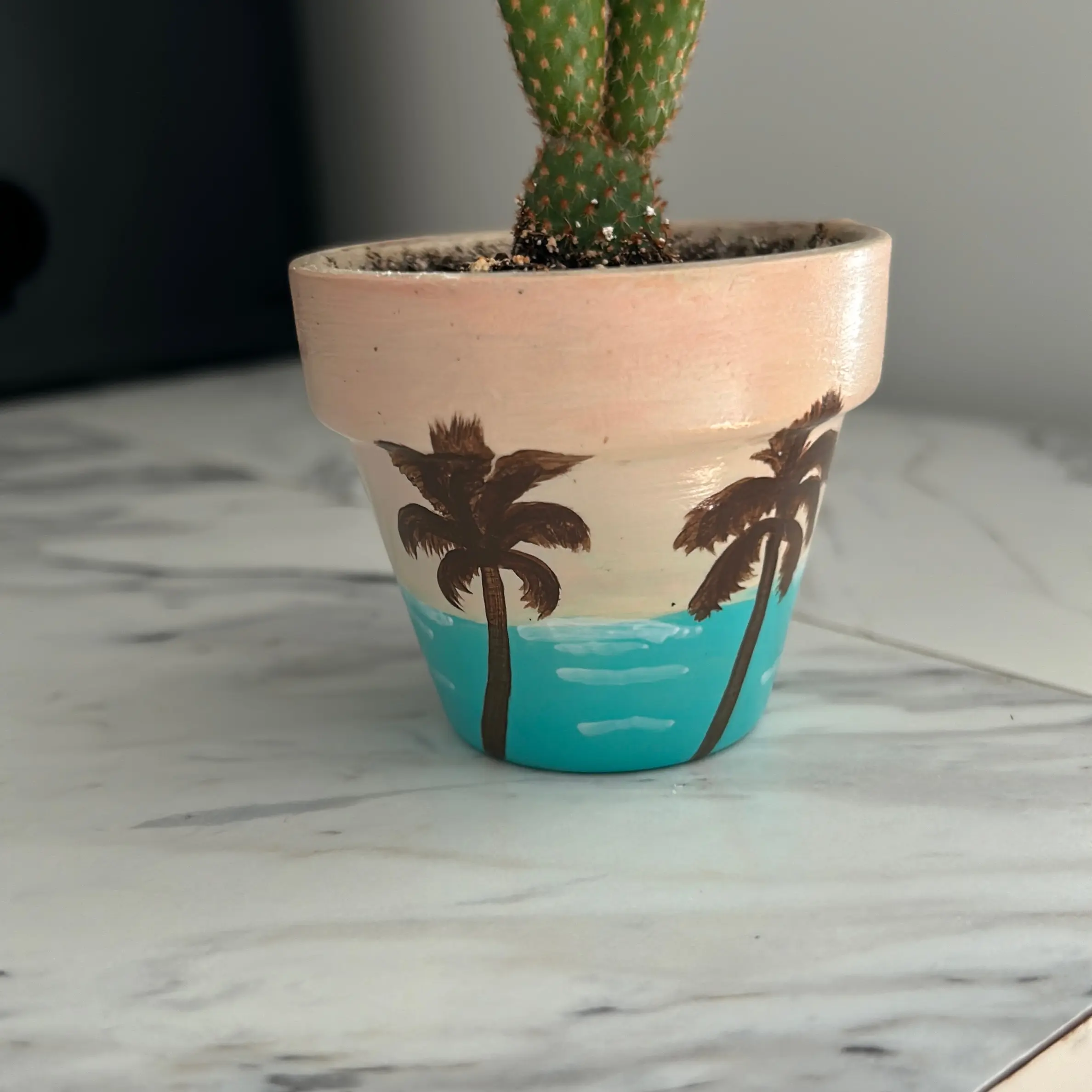 Tiny Windowsill Pots for Home Garden Plant Display