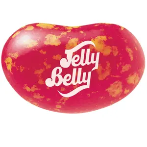 Jelly Belly Jelly Beans Sizzling Cinnamon 10lb