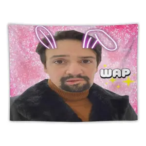 Hamilton Tapestry for Bedroom, College Dorm and Home Decor 60"x40", Funny Meme Wall Tapestries for Boy Girl Birthday Gifts