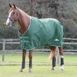 Saxon Defiant 1200 Denier Standard Neck Medium-Weight Turnout Blanket for Horses, 200g - Waterproof, Breathable & Durable