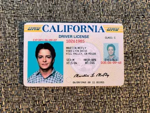 Marty McFly ID CARD - Back to the Future - Michael J Fox - Prop Mc FLY
