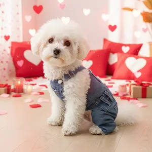 Dog Denim Jumpsuit Costumes Cat Pet JeanOveralls Clothes For Yorkie Bulldog 2026 Trendy Pet Denim Vests Dog ClothesOutfits Outdoor Collars Outside