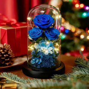 Birthday Gifts for Women Mom   for Delivery  Forever Preserved Rose in Glass Dome Gifts for Her Girlfriend Grandma Daughter Wife Valentines Mothers Day Christmas Anniversary-Blue