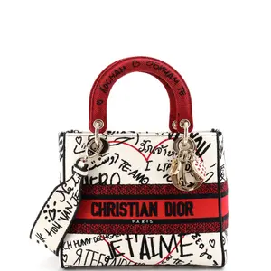 Pre-owned Dior Canvas Plain Top Handle Bags Christian Lady D Lite Bag Embroidered Canvas Medium by Rebag