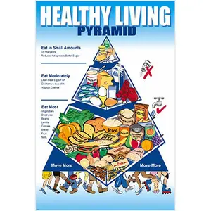 Healthy Living Diet Food Guide Pyramid Nutrition Educational Aid Detailed Poster 24x36 Decor Ornaments