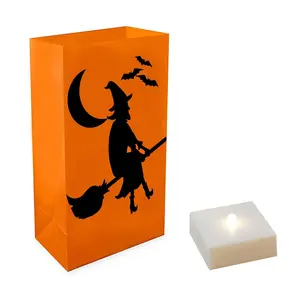 LumaBase B/OLED Luminaria Kit- Flying Witch -6