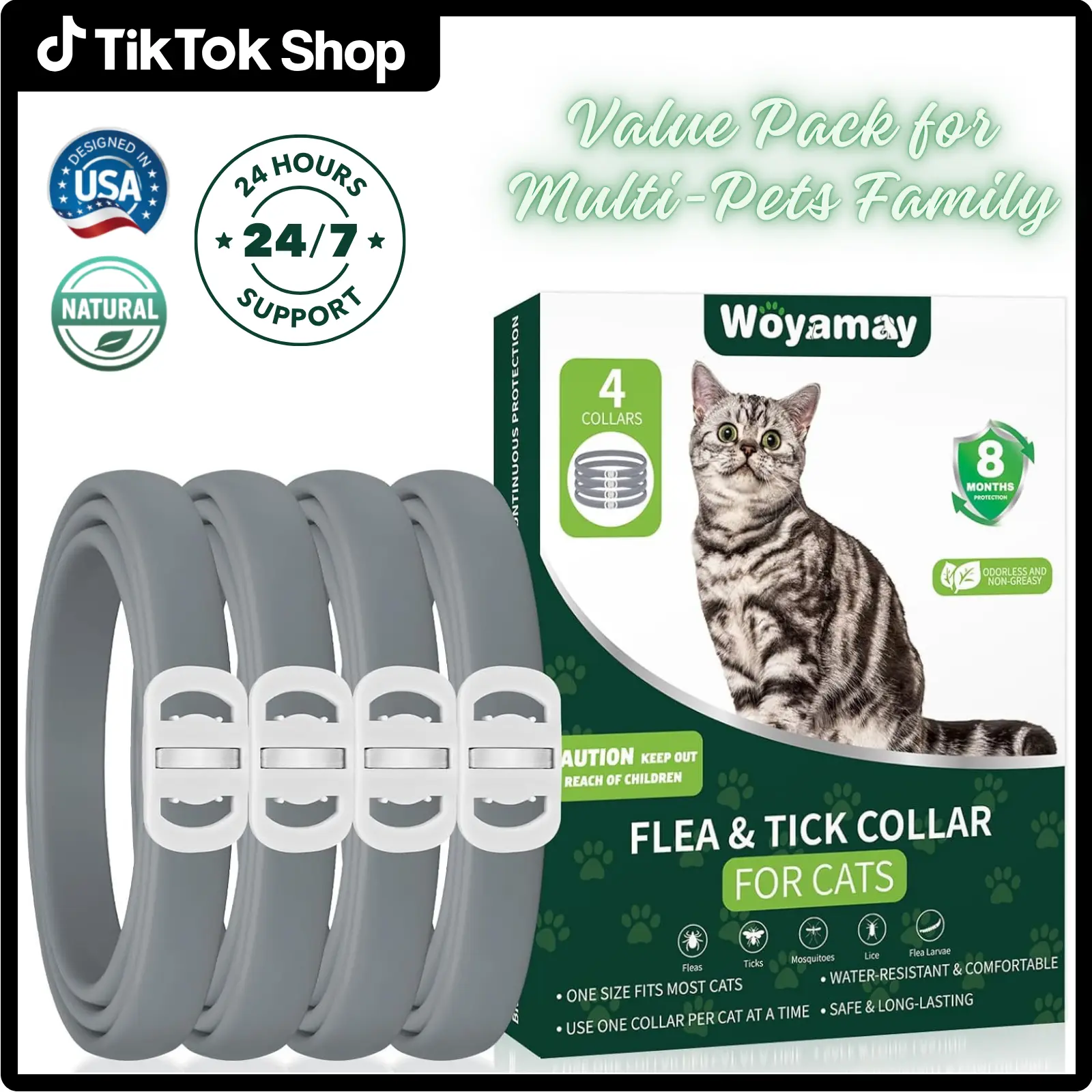Grey Cat Collar Silver Buckle