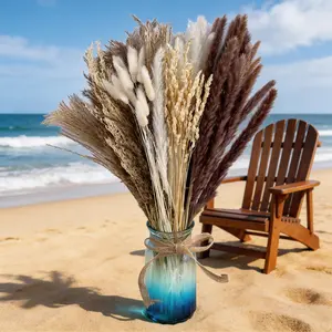 Stunning photo backdrop for your brand or content shoots