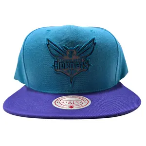 Mitchell & Ness Teal/Prpl NBA Charlotte Hornets Team Reflective Snapback