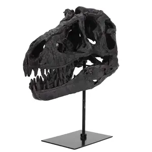 Tyrannosaurus Rex Fossil Figurine Resin Replica Head Sculptures with Bracket Skull Sculptures Gift for Kids and Adults