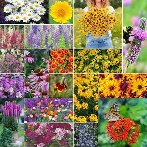 200 Pcs Wildflowers Seeds Mix for Planting in Midwest - Non-GMO Heirloom Varieties to Grow a Wild Flower Garden - Perennial and Annual Flowers to Attract Pollinators - Colorful Blooms