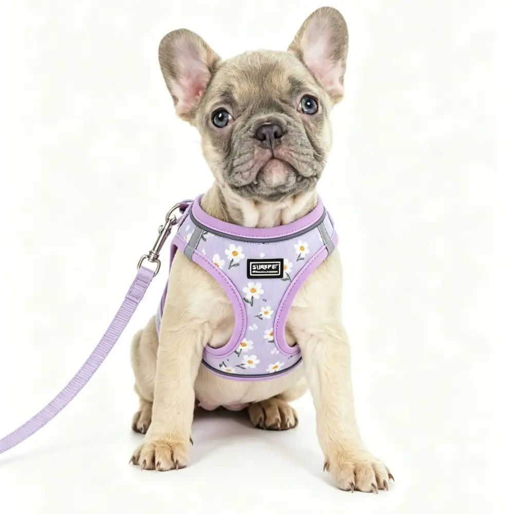 Printed Pet Harness Leash Combo Set, 150cm/59in Leash, Frenchie Harness, Puppy Harness, Suitable for Cats and Small to Medium Dogs, All-Season Use, Comfortable and Durable