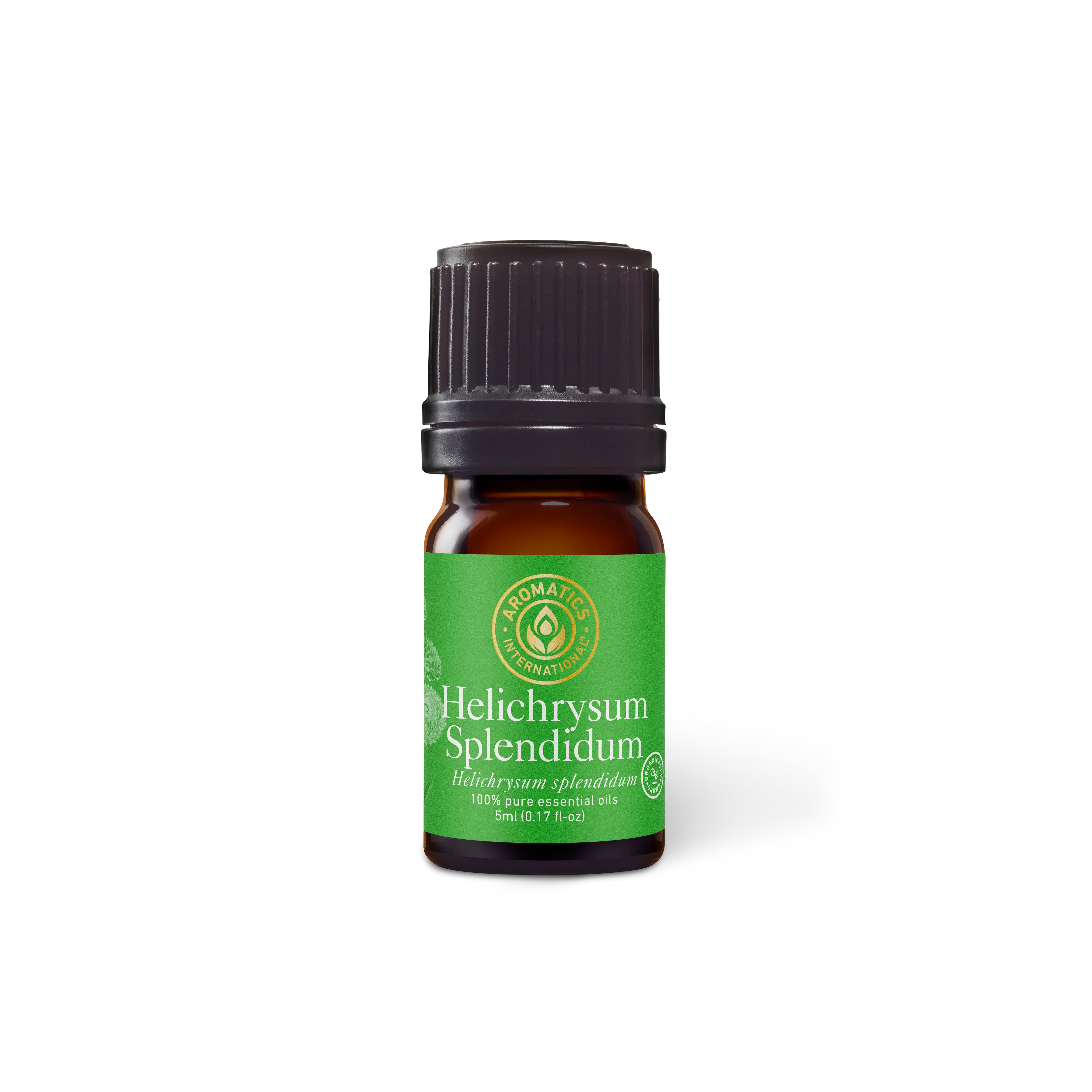Helichrysum Splendidum Therapeutic Essential Oil for Aromatherapy and Wellness Natural