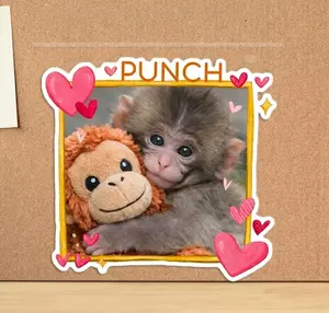 Baby Punch Monkey Sticker, Abandonment Monkey Sticker, Viral Sticker, kindle case sticker, cute animal sticker