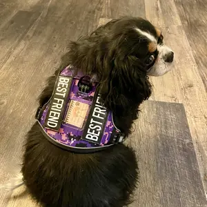 AUROTH Tactical Dog Harness – Universal Harness, Walking Harness & Safety Harnesses for Small to Large Dogs, Durable Reflective, Easy to Control, No Pull Adjustable Pet Harness, Pet Supplies