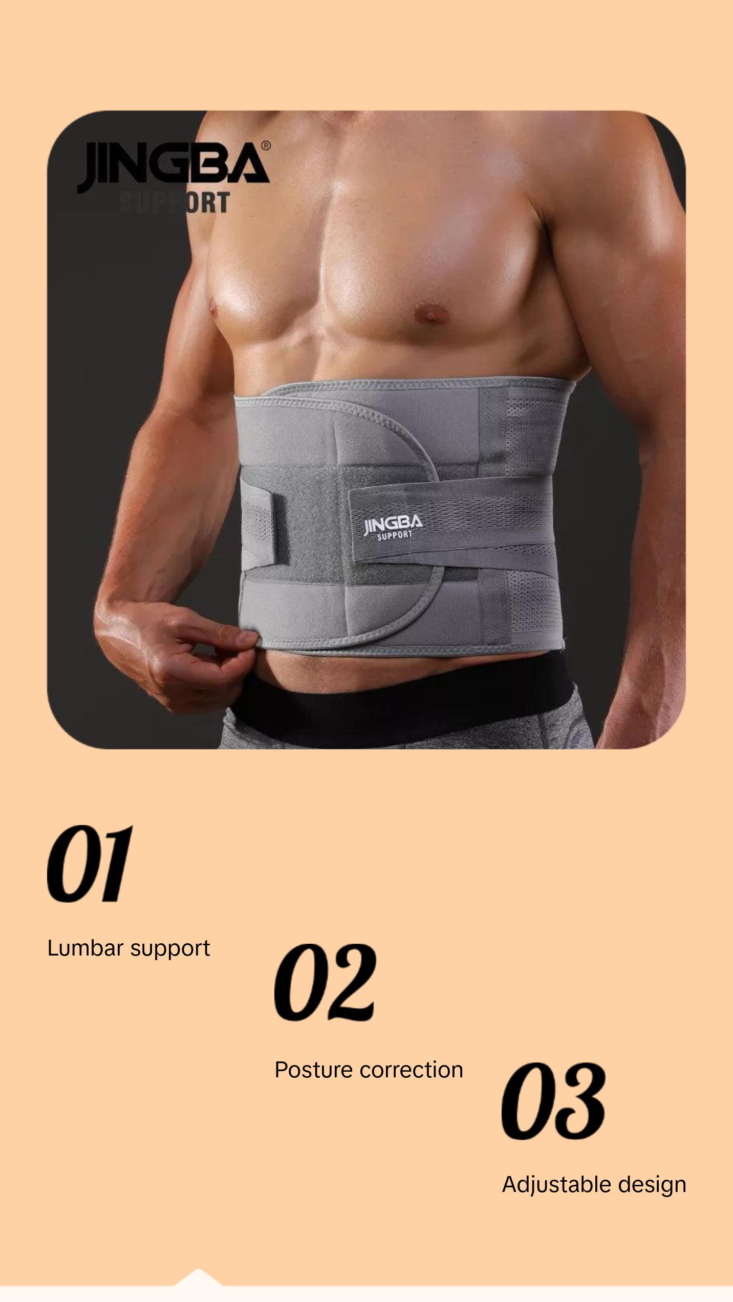 Back Support Belt