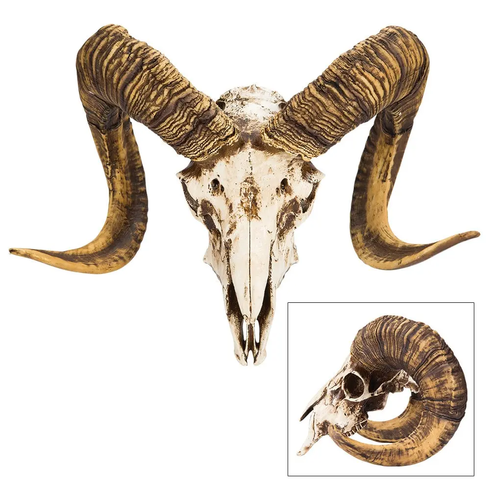 Bighorn Sheep Ram Skull Replica